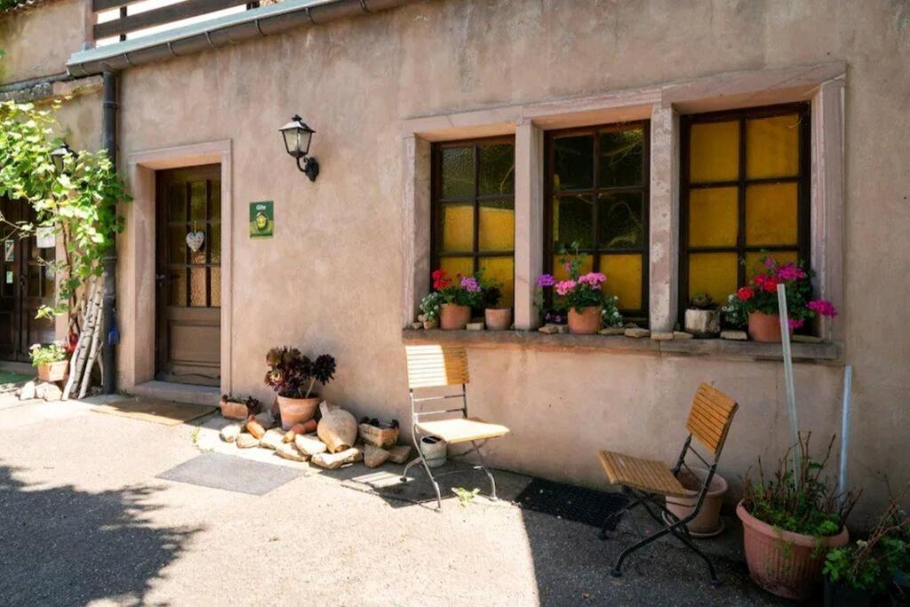 gîte l'œuf ou la poule, parking privé Ribeauvillé Exterior foto